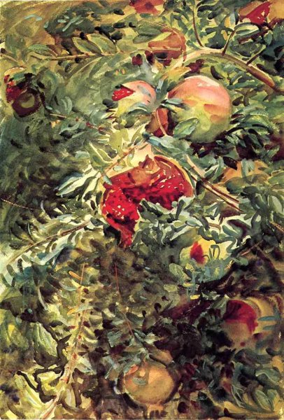 Pomegranates II