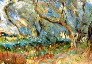 Landscape, Olive Trees, Corfu