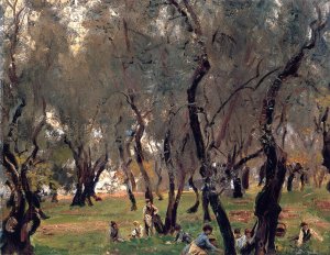 Olive Trees at Corfu