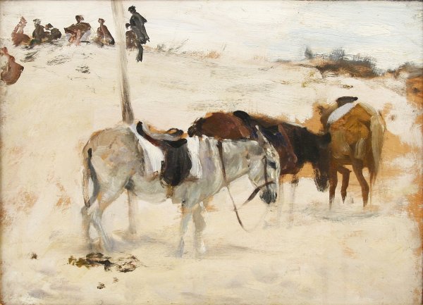 Donkeys in a Desert