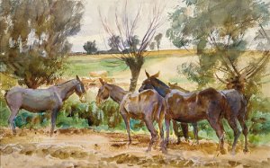 Mules 1918